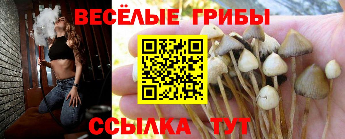 Псилоцибиновые грибы мицелий  Вход с VPN  Вязники  Галлюциногенные грибы ЛСД 